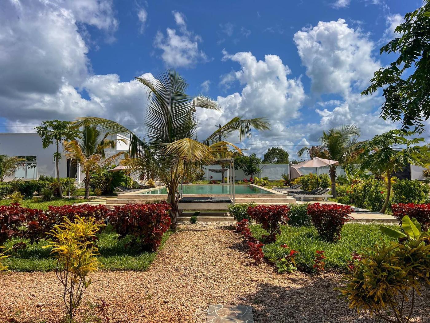 Mus Home Zanzibar shared pool and tropical garden on a bright day, Michamvi